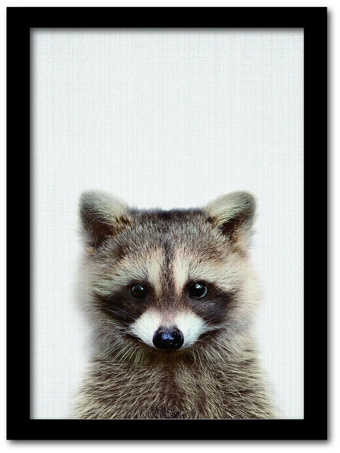 ȯAnimal Children series Raccoon ̥ CB 1004BK ե졼५顼֥å A4 kar-8238786s4 1ܤβ 