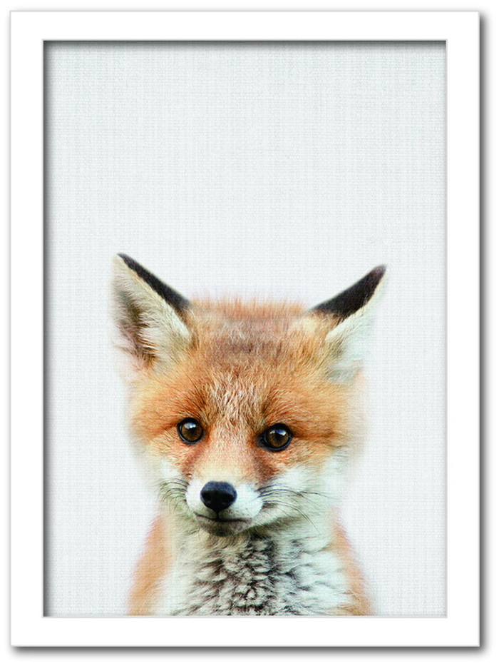 ȯAnimal Children series Fox ĥ CB 1005WH ե졼५顼ۥ磻 A4 kar-8238792s2 1ܤβ 