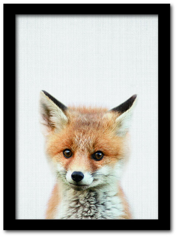 ȯAnimal Children series Fox ĥ CB 1005BK ե졼५顼֥å A4 kar-8238792s4 1ܤβ 