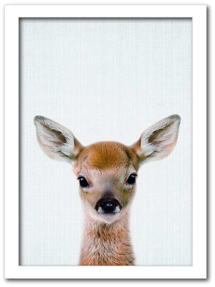 ȯAnimal Children series Deer  CB 1006WH ե졼५顼ۥ磻 A4 kar-8238793s2 1ܤβ 