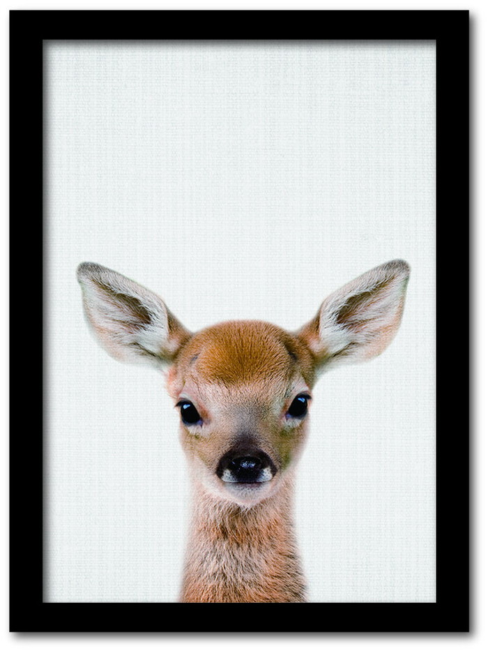 ȯAnimal Children series Deer  CB 1006BK ե졼५顼֥å A4 kar-8238793s4 1ܤβ 