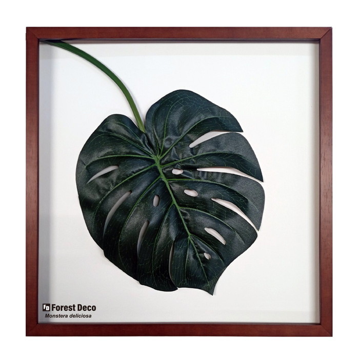 『当社発送』インテリアグリーンアート ForestDecoL Monstera Deliciosa2 LP-1002 フレームカラー ブラウン kar-9326783s1 1枚目の画像