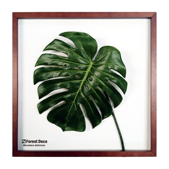 インテリアグリーンアート ForestDecoL Monstera Deliciosa3 LP-1003 フレームカラー ブラウン kar-9326784s1 1枚目の画像