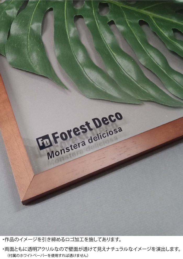 インテリアグリーンアート ForestDecoL Monstera Deliciosa3 LP-1003 フレームカラー ブラウン kar-9326784s1 2枚目の画像 