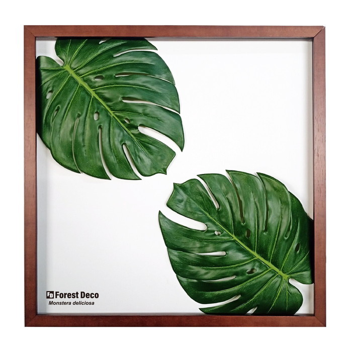 ȯ٥ƥꥢ꡼󥢡 ForestDecoL Monstera Deliciosa4 LP-1004 ե졼५顼 ֥饦 kar-9326786s1 1ܤβ 