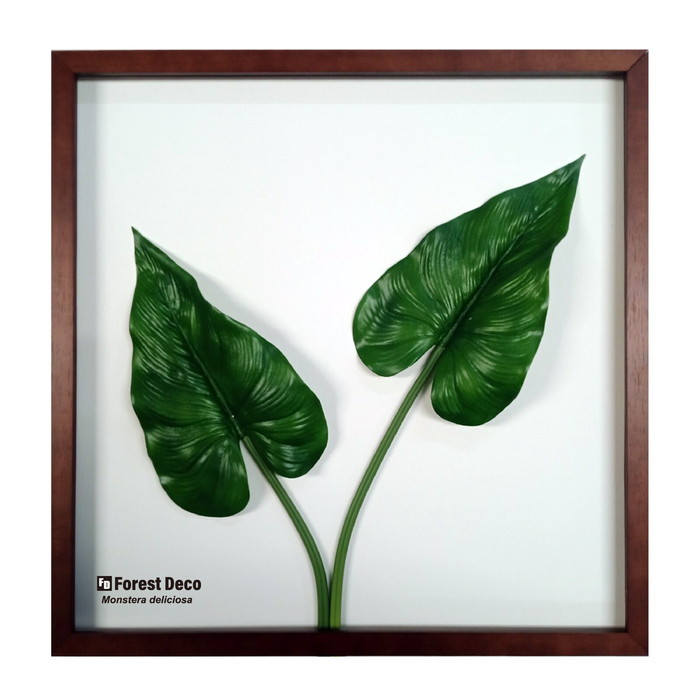 ȯ٥ƥꥢ꡼󥢡 ForestDecoL Philodendron LP-1006 ե졼५顼 ֥饦 kar-9326788s1 1ܤβ 