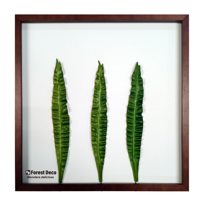 ȯ٥ƥꥢ꡼󥢡 ForestDecoL  Emerald Wave LP-1007 ե졼५顼 ֥饦 kar-9326790s1 1ܤβ 