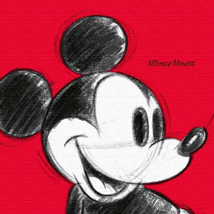 130٥ߥå ǥˡ Mickey Mouse M 30cm30cm ȥѥͥ ե֥åѥͥ ȥܡ ƥꥢѥͥ ɳݤ  åԥդ lib-dsn-0011-m 1ܤβ 
