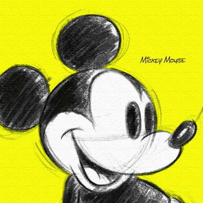 130٥ߥå ǥˡ Mickey Mouse M 30cm30cm ȥѥͥ ե֥åѥͥ ȥܡ ƥꥢѥͥ ɳݤ  åԥդ lib-dsn-0012-m 1ܤβ 