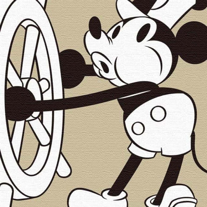 130٥ߥå ǥˡ Mickey Mouse L 57cm57cm ȥѥͥ ե֥åѥͥ ȥܡ ƥꥢѥͥ ɳݤ  åԥդ lib-dsn-0197-l 1ܤβ 
