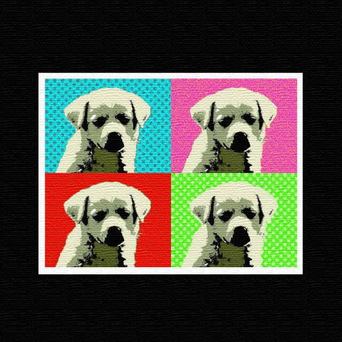 犬モチーフ ANIMAL XLサイズ 100cm×100cm アートパネル ファブリックパネル アートボード インテリアパネル 壁掛け 日本製 ラッピング付