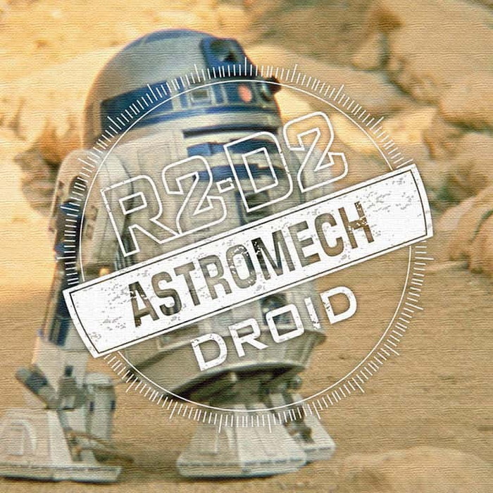130٥ R2-D2 STAR WARS ȥѥͥ ե֥åѥͥ ȥܡ ƥꥢѥͥ ɳݤ  åԥդ lib-stw-0034 1ܤβ 