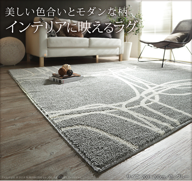 饰  ɥ 饰 ̥ԡ 200x200cm  2  ڥå 饰ޥå å֥ ˼ ۥåȥڥåб ӥ ߤ ̲ ߥΥ  mu-33100291 2ܤβ 